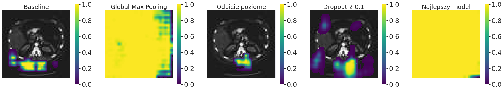 Occlusion sensitivity różnych modeli dla rozmiaru ramki 16 x 16 pikseli